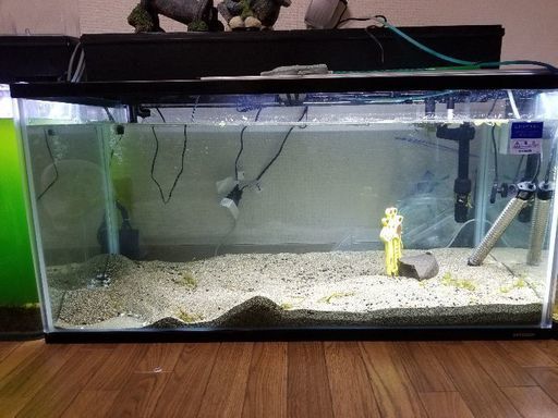 その他 Aquarium