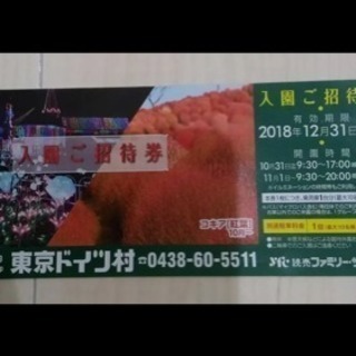 2枚 東京ドイツ村入園券  入園ご招待券 有効期限2018年12...