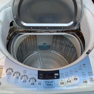 売ります。