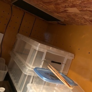 巨大 温室 ケース多数！！ 爬虫類 ゲージ ケース 収納 ケージ 暖
