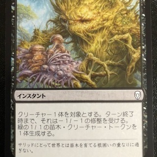 MTG シングルカード 「菌類感染」 日本語 DOM_JP_09...