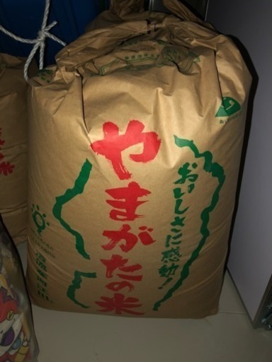 はえぬき 30年度産 玄米 30kg