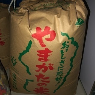 はえぬき 30年度産 玄米 30kg