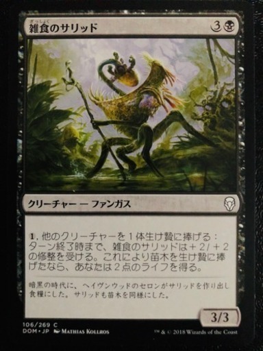 Mtg シングルカード 雑食のサリッド 日本語 Dom Jp 106 269 C Junju 豊島のカードゲーム トレーディングカード の中古あげます 譲ります ジモティーで不用品の処分