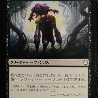 MTG シングルカード 「死花のサリッド」 日本語 DOM_JP...