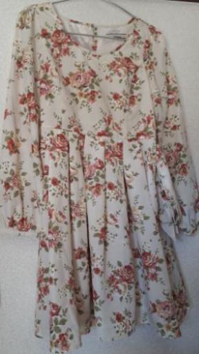 試着のみ美品 オリーブデオリーブ ワンピース Ashley 立川のワンピースの中古 古着あげます 譲ります ジモティーで不用品の処分