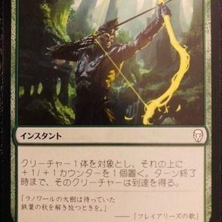 MTG シングルカード 「高木の武装」 日本語 DOM_JP_1...