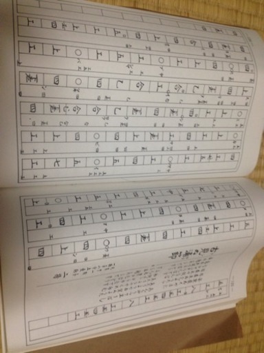 沖縄、石垣島 三線 楽譜付き