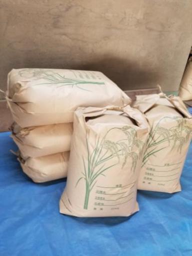 【4袋限定】平成30年度 茨城県産 コシヒカリ 30kg【新米】