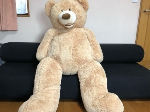 【コストコ名物】クマのぬいぐるみ