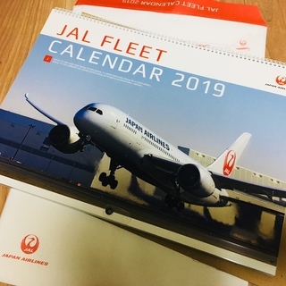 JAL 2019 壁掛けカレンダー