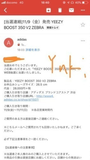 adidas Yeezy Boost 350 V2 “Zebra”