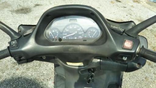 フォーサイト250