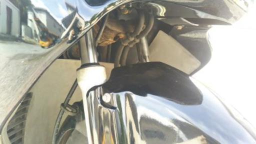 フォーサイト250