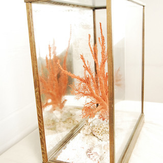 7202　大赤珊瑚　桃珊瑚 W54 H46cm 根元7cm 天然珊瑚 原木 拝見物 置物　オブジェ　ガラスケース付　アントレ
