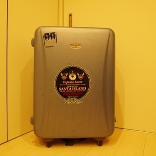 AMERICAN TOURISTER  carry case