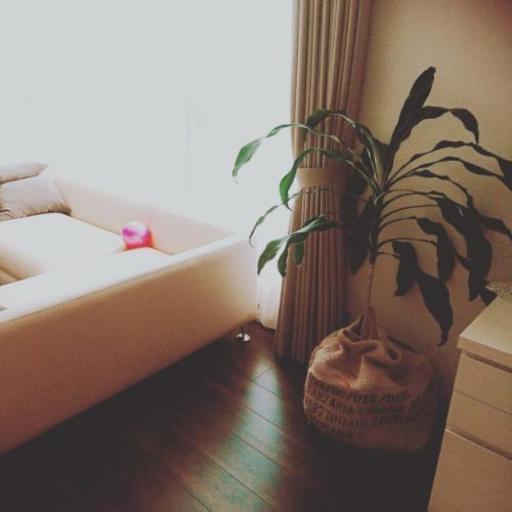 大きい 麻袋 鉢カバー リメイクなどに あさちゃん 大谷地のその他の中古あげます 譲ります ジモティーで不用品の処分