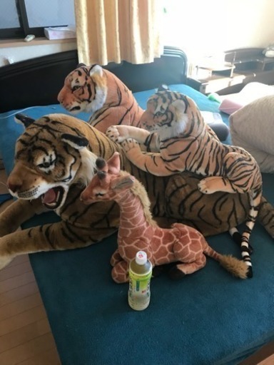 とっても大きな トラ 三匹 キリン一匹ぬいぐるみ メガネザル 尾張一宮のその他の中古あげます 譲ります ジモティーで不用品の処分