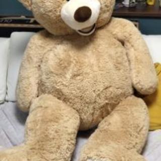 コストコ くま 135cm Kairu00 千葉の家具の中古あげます 譲ります ジモティーで不用品の処分 コストコ くま 135cm Kairu00 千葉の家具の中古あげます 譲ります ジモティーで不用品の処分