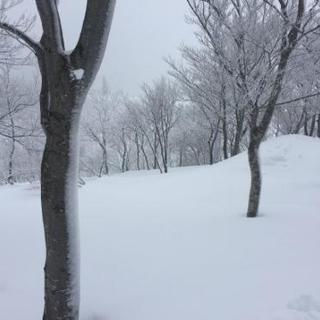 スノーボード、雪山、スノボ