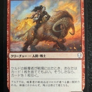 MTG シングルカード 「ケルドの略奪者」 日本語 DOM_JP...