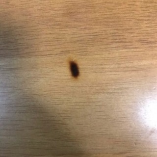 カリモク ダイニングセット