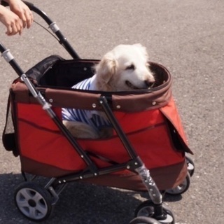 大型犬 バギー カート 介護
