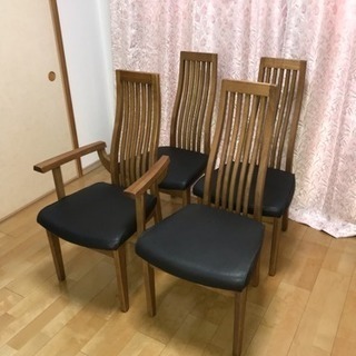 調整品】KREMONA Stradivarius Model バイオリン