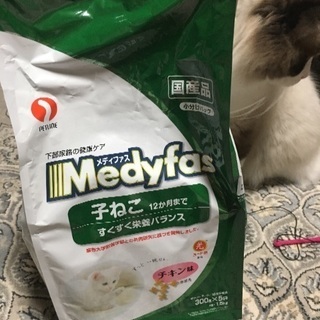 メディファス子猫用1.5キロ 猫餌