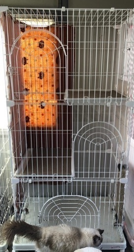 キャットケージ2段と3段、猫トイレ