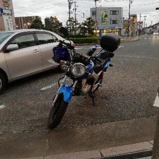 CBF125仲間募集