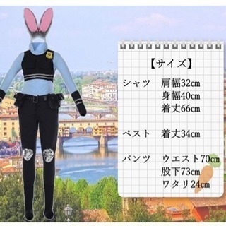 大人気 ズートピア ジュディ ホップス コスプレ 可愛い 安い パーティ モンモン 福岡のその他の中古あげます 譲ります ジモティーで不用品の処分