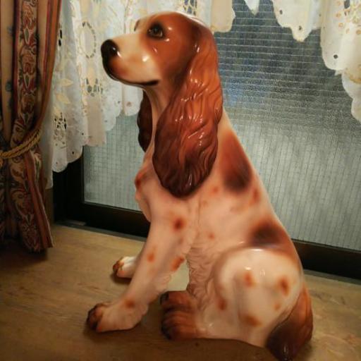 陶製犬 ハッシュパピー ときどき視線を感じて 振り返ってみることがあります Kellyherr 桃山台のその他の中古あげます 譲ります ジモティーで不用品の処分 陶製犬 ハッシュパピー ときどき視線を感じて 振り返ってみることがあります Kellyherr 桃山台のその他の中古あげます 譲ります ジモティーで不用品の処分