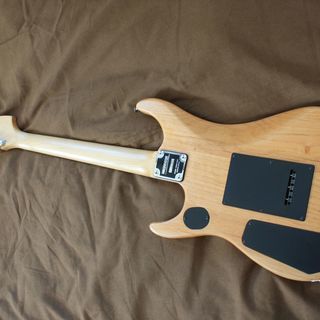 Washburn N1　中古（取引中）