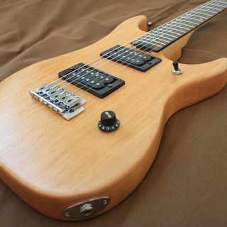 Washburn N1　中古（取引中）