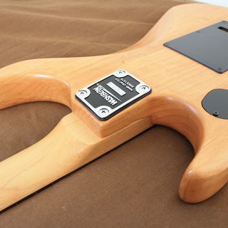Washburn N1　中古（取引中）