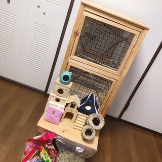 兵庫県の中古フクロモモンガが無料 格安で買える ジモティー