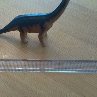 恐竜ブラキオサウルス たんぽぽ 仙台のおもちゃの中古あげます 譲ります ジモティーで不用品の処分