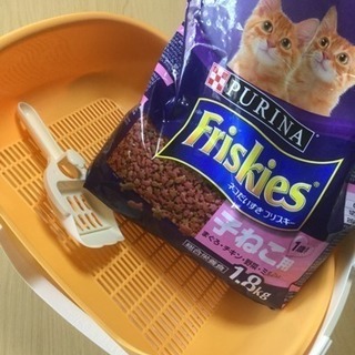 子猫用トイレ本体とご飯未開封