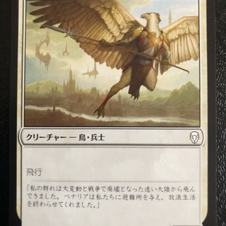 MTG シングルカード 「エイヴンの歩哨」 日本語 DOM_JP...