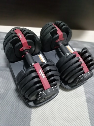 可変式ダンベル(24kg)2つセット