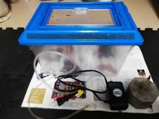 水槽 セット ポンプ エアポンプ プラスチックケース 熱帯魚 金魚 メダカ 虫かご Tei 阪東橋のその他の中古あげます 譲ります ジモティーで不用品の処分 水槽 セット ポンプ エアポンプ プラスチックケース 熱帯魚 金魚 メダカ 虫かご Tei 阪東橋のその他の中古あげます 譲ります ジモティーで不用品の処分