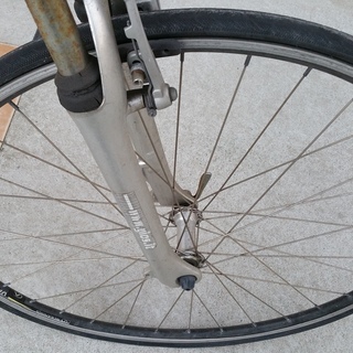 GIOS CELE ジオスブルー