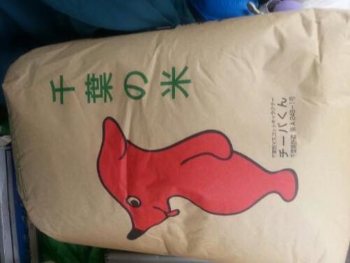 コシヒカリ 新米 30kg