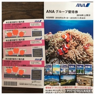 【期間限定】【値下げ！】ANA（全日空）株主優待券 新券・旧券