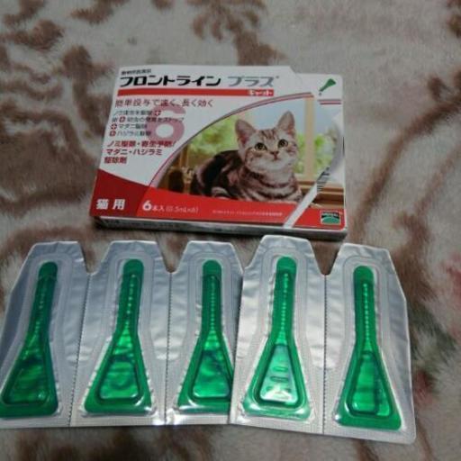 フロントラインペット猫用蚤ダニ駆除剤5本 プーさん 豊中の生活雑貨の中古あげます 譲ります ジモティーで不用品の処分 フロントラインペット猫用蚤ダニ駆除剤5本 プーさん 豊中の生活雑貨の中古あげます 譲ります ジモティーで不用品の処分