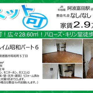 ペット可!2.9万円