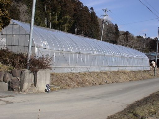 宮城県 農業用 解体済み ビニールハウス 1棟 ビニール付き 補強付き 扉無し  離農