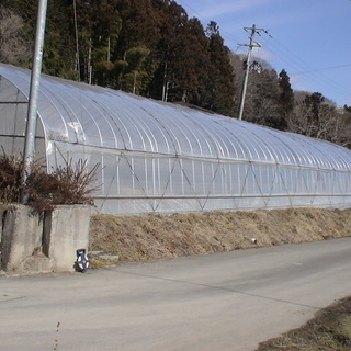 宮城県 農業用 解体済み ビニールハウス 1棟 ビニール付き 補...