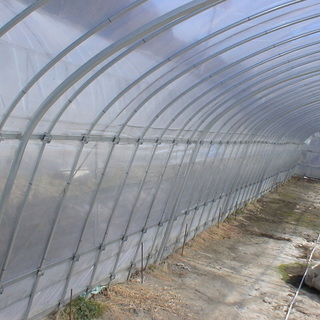 宮城県 農業用 解体済み ビニールハウス 1棟 ビニール付き 補強付き 扉無し  離農